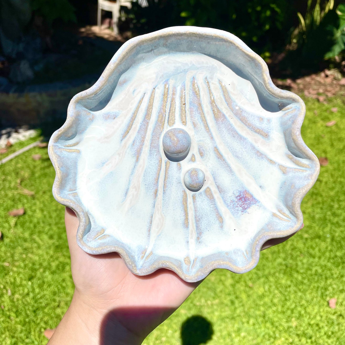 Double Pearl clam (biggest clam)